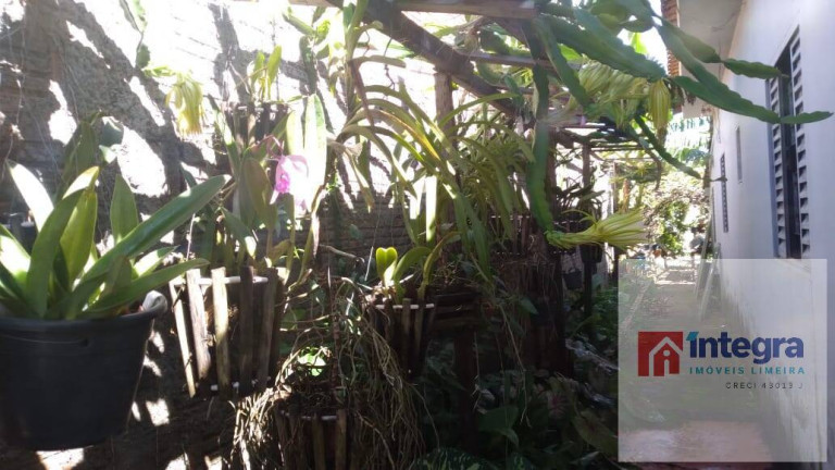 Imagem Chácara com 3 Quartos à Venda, 300 m² em Pires De Baixo - Limeira