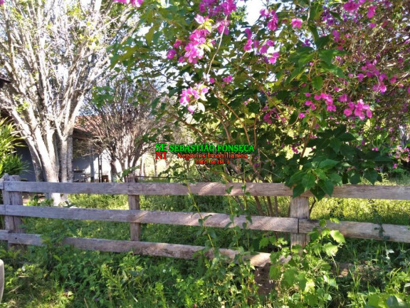 Imagem Chácara com 2 Quartos à Venda, 25.000 m² em Sob Consulta - Virgínia Imagem Chácara com 2 Quartos à Venda, 25.000 m² em Sob Consulta - Virgínia