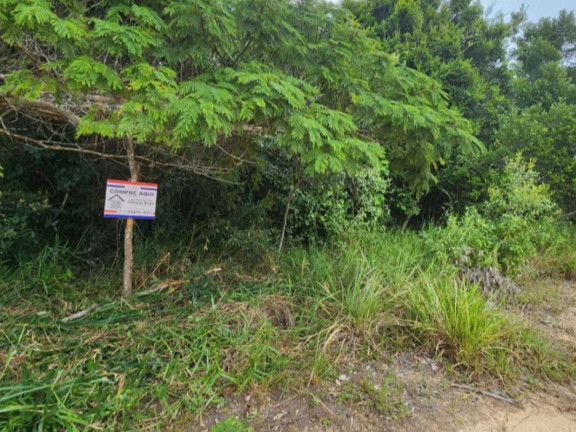 Imagem Terreno à Venda, 200 m² em Arraial D'ajuda - Porto Seguro Imagem Terreno à Venda, 200 m² em Arraial D'ajuda - Porto Seguro