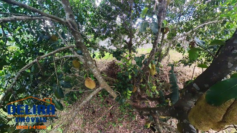Imagem Chácara com 4 Quartos à Venda, 2 m² em Rio Abaixo - Mairiporã Imagem Chácara com 4 Quartos à Venda, 2 m² em Rio Abaixo - Mairiporã