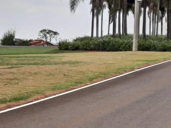 Imagem Terreno à Venda, 450 m² em Centro - Pardinho Imagem Terreno à Venda, 450 m² em Centro - Pardinho