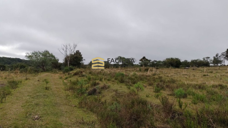 Imagem Imóvel com 3 Quartos à Venda, 2.600.000 m² em 1º Distrito - Canguçu Imagem Imóvel com 3 Quartos à Venda, 2.600.000 m² em 1º Distrito - Canguçu