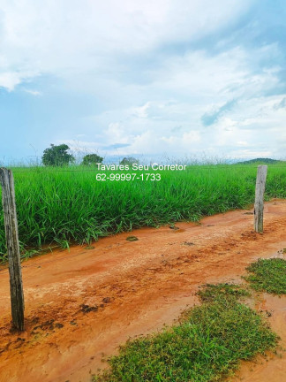 Imagem Imóvel à Venda, 83.400 m² em Joatão - São Félix Do Araguaia Imagem Imóvel à Venda, 83.400 m² em Joatão - São Félix Do Araguaia