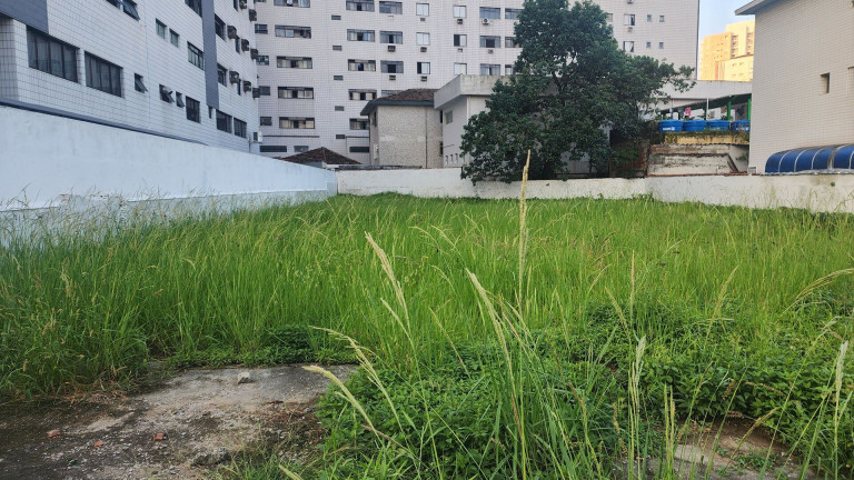 Terreno para Alugar, 900 m² em Ponta Da Praia - Santos