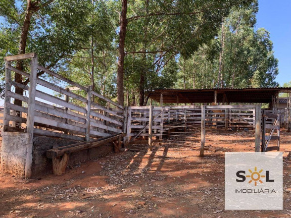 Chácara com 2 Quartos à Venda, 294.000 m² em Zona Rural - Bela Vista De Goiás