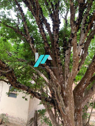Imagem Fazenda à Venda, 30 m² em Azurita - Mateus Leme Imagem Fazenda à Venda, 30 m² em Azurita - Mateus Leme