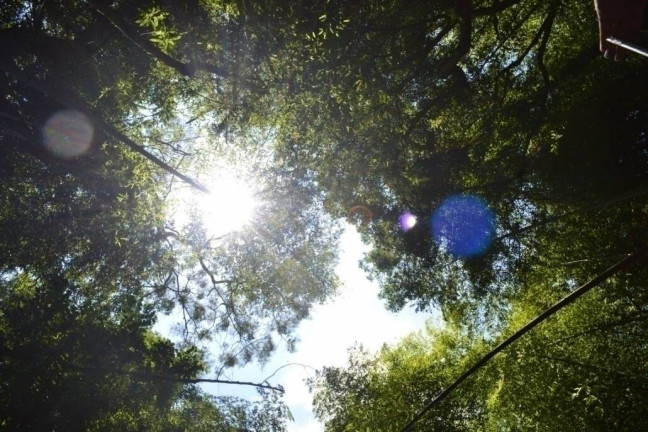 Imagem Terreno em Condomínio à Venda, 250 m² em Altos De Caucaia (caucaia Do Alto) - Cotia Imagem Terreno em Condomínio à Venda, 250 m² em Altos De Caucaia (caucaia Do Alto) - Cotia