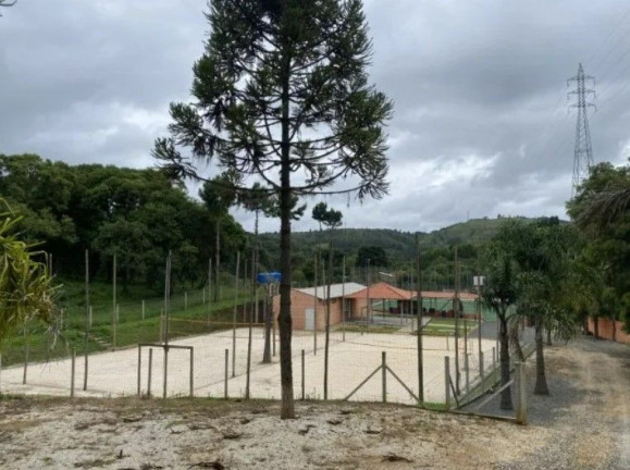 Imagem Imóvel Comercial à Venda, 3.800 m² em Pacotuba - Almirante Tamandare