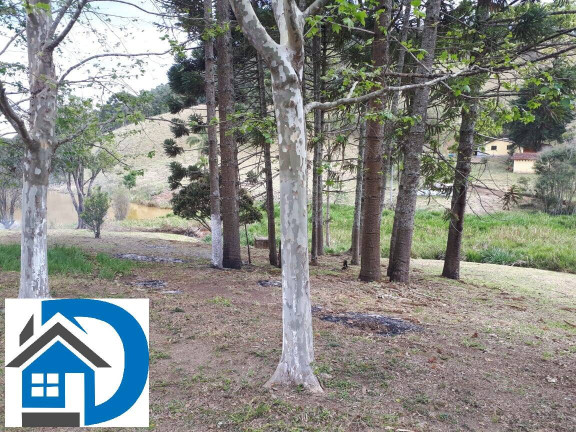 Imagem Chácara com 4 Quartos à Venda, 200 m² em Rural - Itapeva Imagem Chácara com 4 Quartos à Venda, 200 m² em Rural - Itapeva