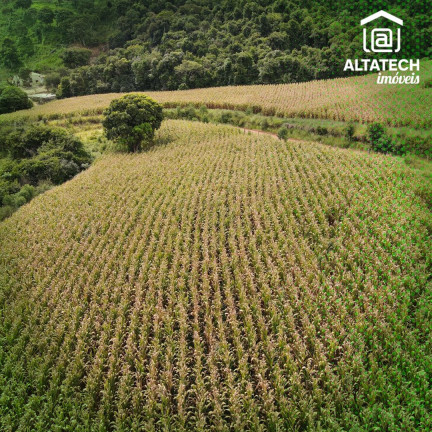 Imagem Imóvel à Venda, 48 m² em Roseira - Bandeira Do Sul Imagem Imóvel à Venda, 48 m² em Roseira - Bandeira Do Sul