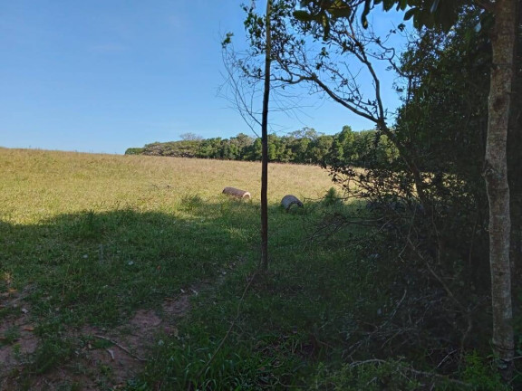 Imagem Chácara à Venda, 47.000 m² em Itapuã - Viamão Imagem Chácara à Venda, 47.000 m² em Itapuã - Viamão