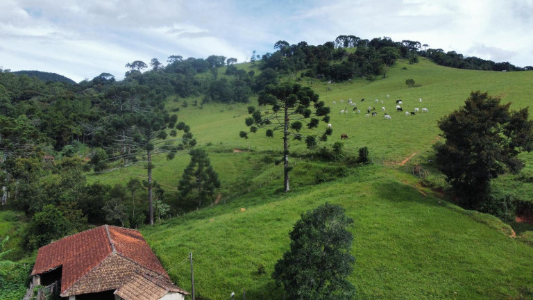Imagem Fazenda à Venda, 30.000 m² em Centro - Joanópolis Imagem Fazenda à Venda, 30.000 m² em Centro - Joanópolis