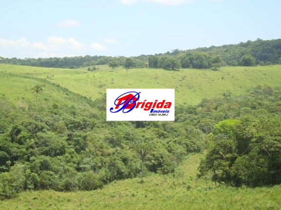 Imagem Fazenda à Venda, 275 m² em Centro - Jacupiranga Imagem Fazenda à Venda, 275 m² em Centro - Jacupiranga