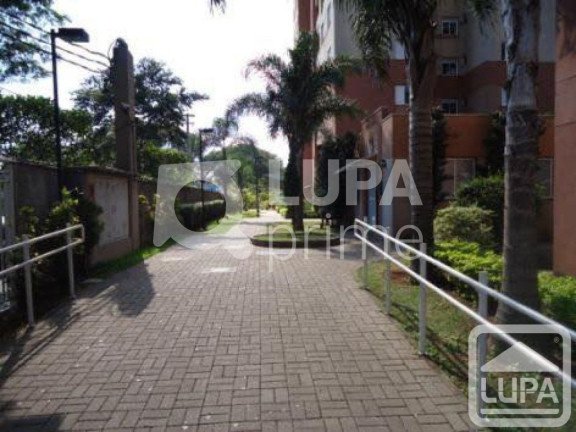Imagem Apartamento com 2 Quartos à Venda, 50 m² em Parque Novo Mundo - São Paulo Imagem Apartamento com 2 Quartos à Venda, 50 m² em Parque Novo Mundo - São Paulo