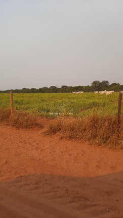 Imagem Imóvel com 3 Quartos à Venda, 49.937 m² em Nova Ubiratã - Nova Ubiratã