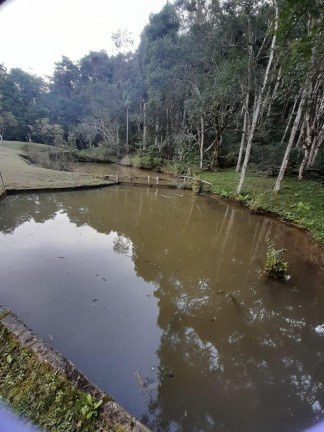 Imagem Imóvel com 3 Quartos à Venda, 72.000 m² em Centro - Tunas Do Parana