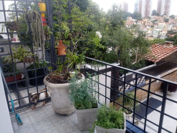 Imagem Casa com 5 Quartos à Venda, 380 m² em Morumbi - São Paulo Imagem Casa com 5 Quartos à Venda, 380 m² em Morumbi - São Paulo