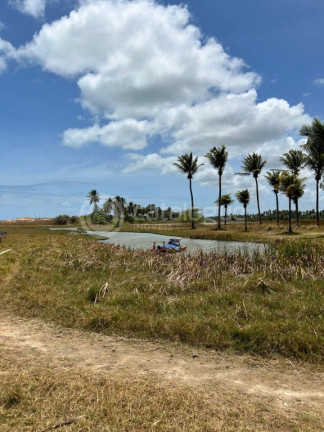 Imagem Terreno à Venda, 2.400 m² em Praia Da Xepa - São Miguel Do Gostoso Imagem Terreno à Venda, 2.400 m² em Praia Da Xepa - São Miguel Do Gostoso