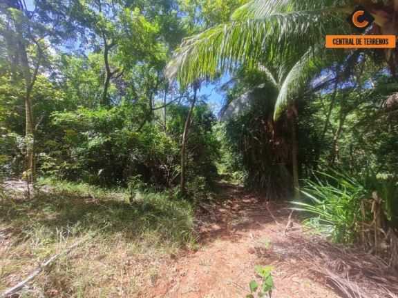 Imagem Terreno à Venda, 54.450 m² em Açu Da Torre - Açu Da Torre Imagem Terreno à Venda, 54.450 m² em Açu Da Torre - Açu Da Torre