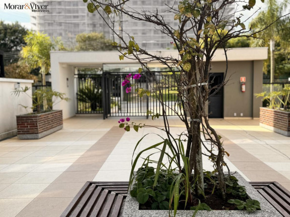 Imagem Apartamento com 3 Quartos à Venda, 81 m² em Cristo Rei - Curitiba