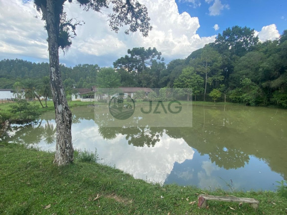 Imagem Imóvel com 6 Quartos à Venda, 3.000 m² em Distrito Industrial - Campina Grande Do Sul Imagem Imóvel com 6 Quartos à Venda, 3.000 m² em Distrito Industrial - Campina Grande Do Sul
