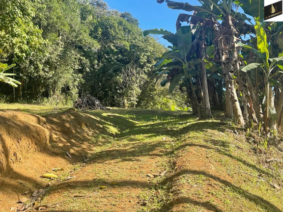 Imagem Imóvel à Venda, 20.000 m² em Zona Rural - Morretes Imagem Imóvel à Venda, 20.000 m² em Zona Rural - Morretes