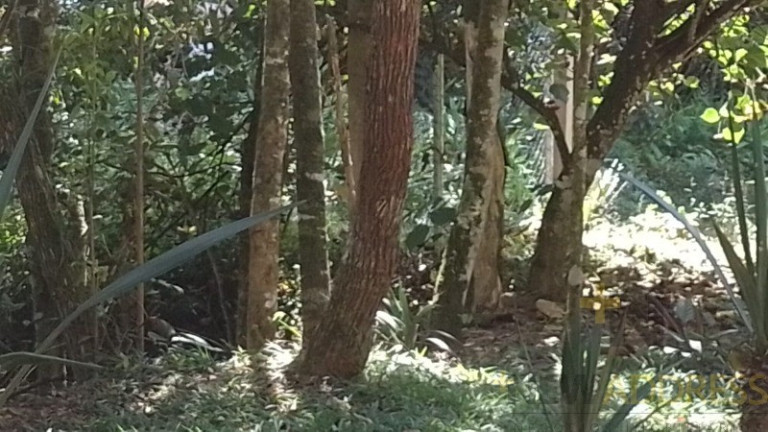 Imagem Imóvel com 1 Quarto à Venda, 20.000 m² em Marechal Floriano - Marechal Floriano