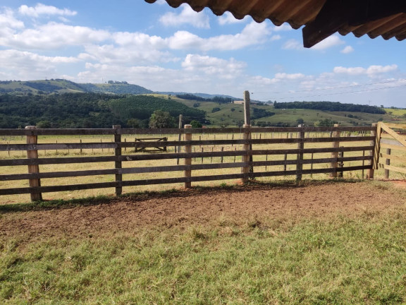 Imagem Imóvel com 3 Quartos à Venda, 459.800 m² em Centro - Itapetininga