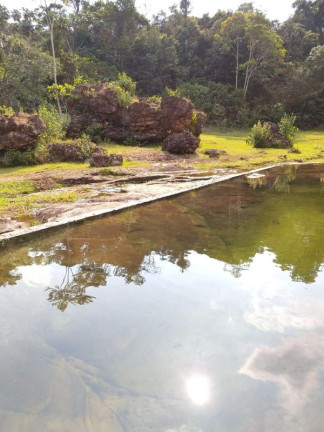 Imagem Imóvel com 3 Quartos à Venda,  em Comunidade Rural - Presidente Figueiredo
