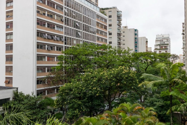 Imagem Apartamento com 3 Quartos à Venda, 270 m² em Higienópolis - São Paulo Imagem Apartamento com 3 Quartos à Venda, 270 m² em Higienópolis - São Paulo