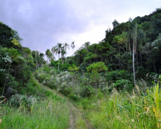 Imagem Imóvel à Venda, em Vila Germânia - Nova Petrópolis Imagem Imóvel à Venda, em Vila Germânia - Nova Petrópolis