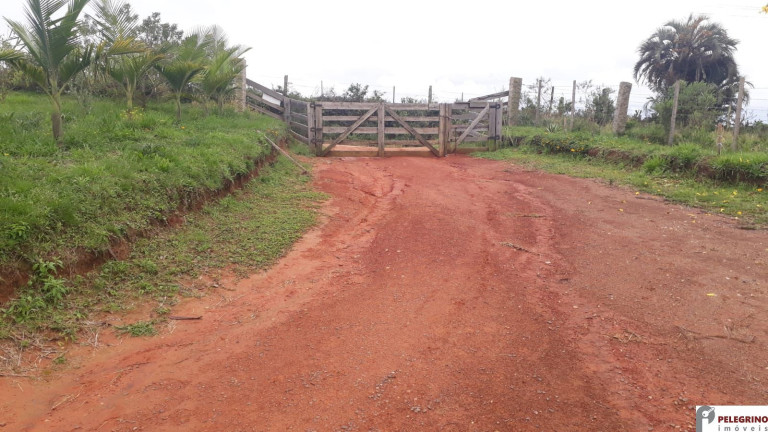 Imagem Imóvel com 2 Quartos à Venda, 95 m² em Zona Rural - Sentinela Do Sul Imagem Imóvel com 2 Quartos à Venda, 95 m² em Zona Rural - Sentinela Do Sul