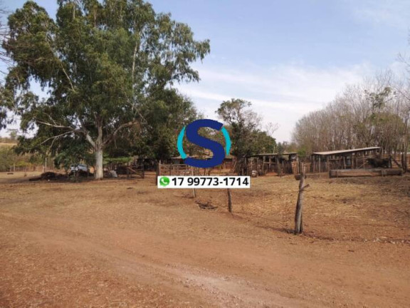 Imagem Chácara à Venda, 20.000 m² em Tupinambá - Indiaporã Imagem Chácara à Venda, 20.000 m² em Tupinambá - Indiaporã