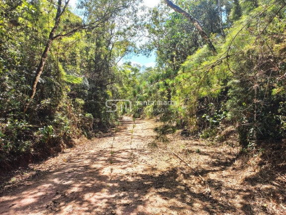 Imagem Imóvel à Venda, 1 m² em Pouso Frio - Piquete Imagem Imóvel à Venda, 1 m² em Pouso Frio - Piquete