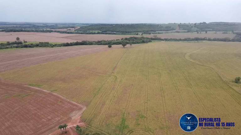 Imagem Fazenda à Venda, 116 m² em Zona Rural - Rio Verde Imagem Fazenda à Venda, 116 m² em Zona Rural - Rio Verde