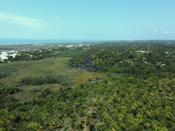 Imagem Terreno à Venda, 6.000 m² em Diogo - Mata De São João Imagem Terreno à Venda, 6.000 m² em Diogo - Mata De São João