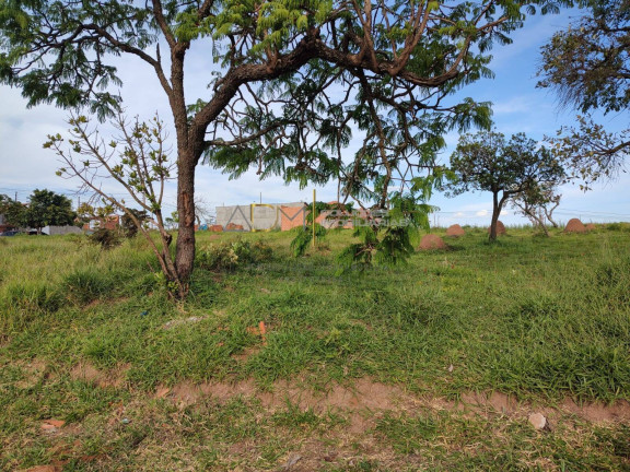 Imagem Terreno à Venda, 300 m² em Jardim Botucatu (rubião Júnior) - Botucatu Imagem Terreno à Venda, 300 m² em Jardim Botucatu (rubião Júnior) - Botucatu