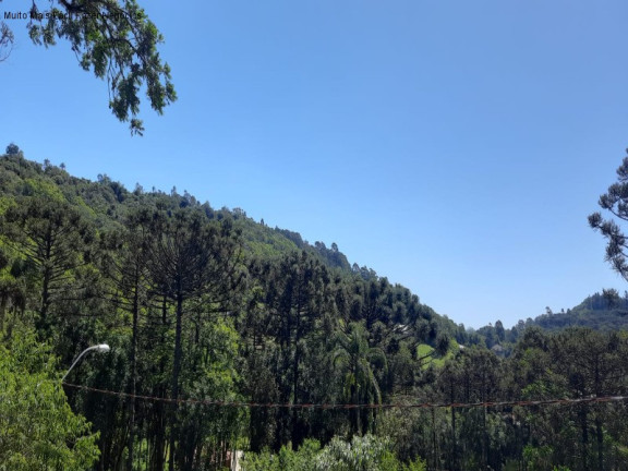 Imagem Terreno à Venda, 444 m² em Linha Imperial - Nova Petrópolis