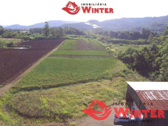 Imagem Chácara à Venda, 11 m² em Picada Cara - Feliz Imagem Chácara à Venda, 11 m² em Picada Cara - Feliz