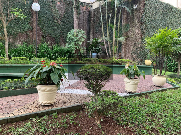 Imagem Apartamento com 2 Quartos à Venda, 42 m² em Parque Peruche - São Paulo