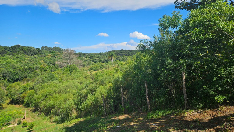 Fazenda à Venda,  em Zona Rural - Contenda
