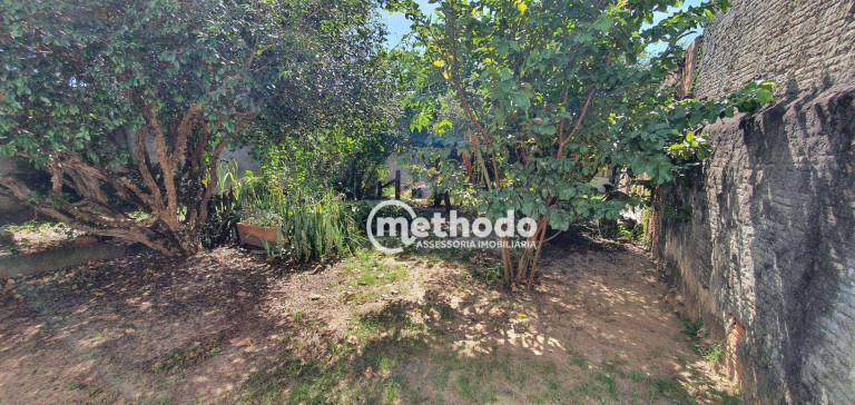 Imagem Casa com 3 Quartos à Venda, 117 m² em Jardim Nova Europa - Campinas