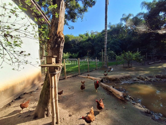 Imagem Imóvel com 5 Quartos à Venda, 5.712 m² em Campinho - Lorena Imagem Imóvel com 5 Quartos à Venda, 5.712 m² em Campinho - Lorena
