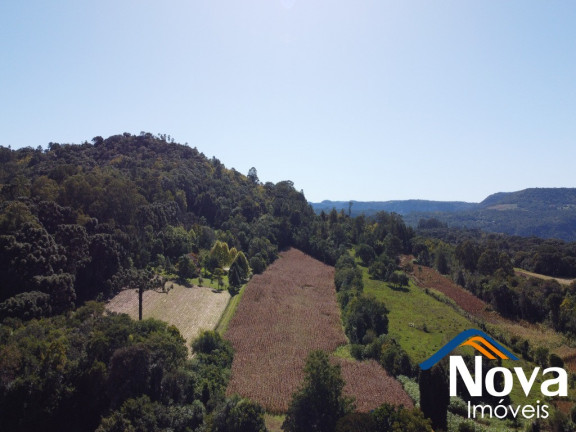 Imagem Imóvel à Venda,  em Linha Araripe - Nova Petrópolis