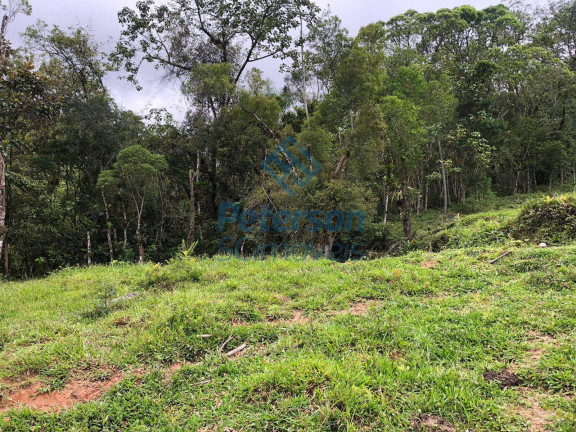 Imagem Chácara com 3 Quartos à Venda, 1.200.000 m² em Lageado Alto - Guabiruba