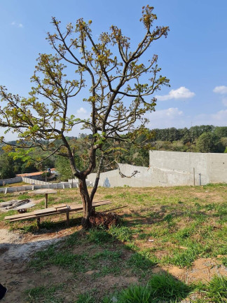 Imagem Terreno à Venda, 1.288 m² em Maracanã - Jarinu Imagem Terreno à Venda, 1.288 m² em Maracanã - Jarinu