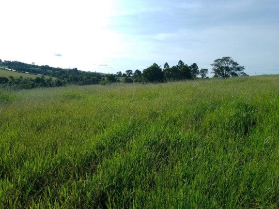 Imagem Chácara à Venda, 16 m² em Rural - Itapetininga Imagem Chácara à Venda, 16 m² em Rural - Itapetininga