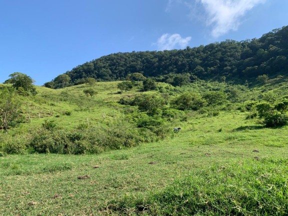 Imagem Imóvel com 1 Quarto à Venda,  em Bairro Rural - Bofete