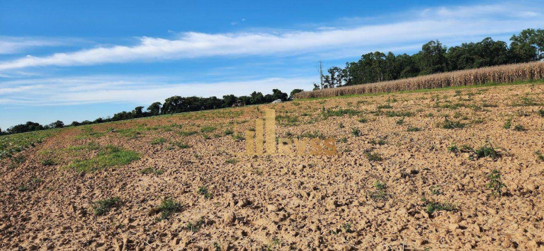 Imagem Fazenda à Venda, 291.613 m² em Porto Feliz - Sorocaba - Porto Feliz Imagem Fazenda à Venda, 291.613 m² em Porto Feliz - Sorocaba - Porto Feliz