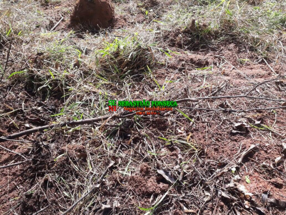 Imagem Chácara à Venda, 750 m² em Sob. Consulta - Paraibuna Imagem Chácara à Venda, 750 m² em Sob. Consulta - Paraibuna